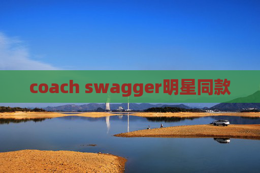 coach swagger明星同款